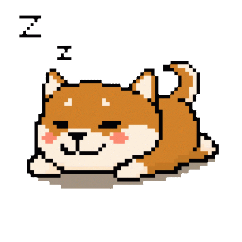 Sleeping Shiba Inu